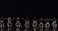 ​Le Requiem de Mozart en ballet équestre de Bartabas à La Seine Musicale