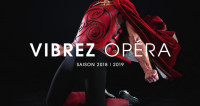 Saint-Étienne 2018/2019 : Vibrez Opéra !
