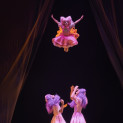 Ballet royal de la nuit par Francesca Lattuada