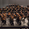 Case Scaglione & Orchestre national d’Île-de-France 