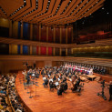 Orfeo Orchestra & Purcell Choir au Müpa de Budapest