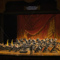 Luca Pisaroni & Orchestre de l’Opéra national de Paris